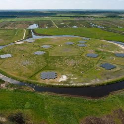 The first Italian LOFAR School 2019